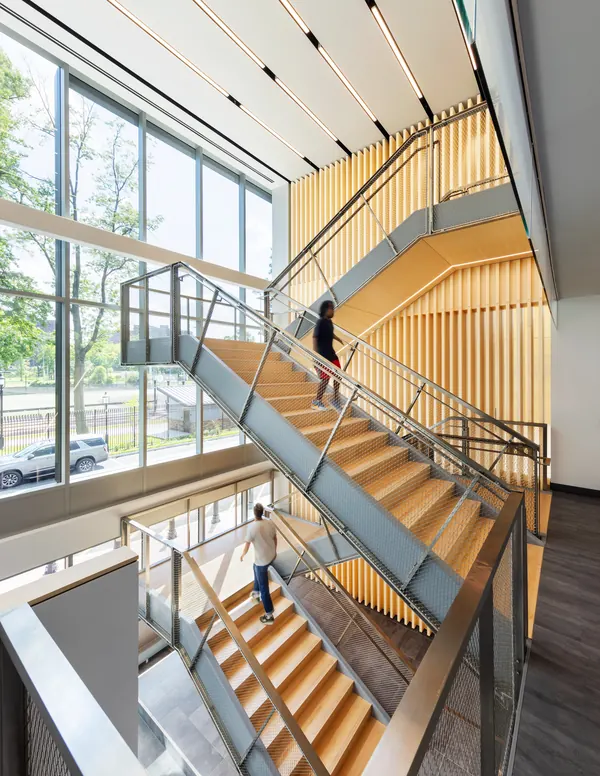 Soaring timber-lined stairwell with floor-to-ceiling glass